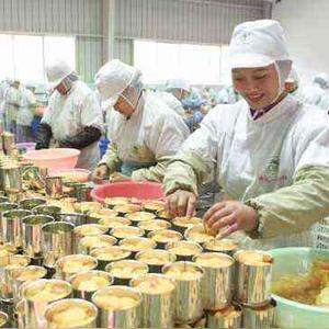 富饶之源 食品加工厂的地膜使用与创新实践