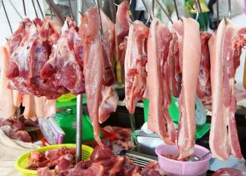 猪跌羊涨鱼新高 肉类市场“冰火两重天”背后的供需博弈与成本压力